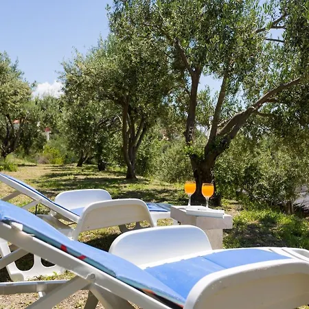 Sunrise Apartment Split